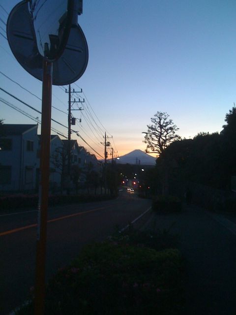 Featured image of post View from down the Street