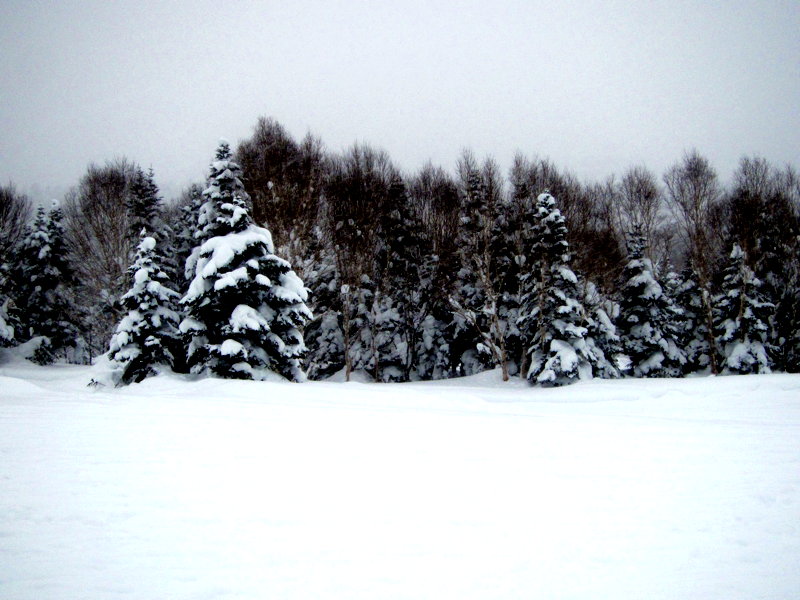 Featured image of post Family road trip to Shiga Kogen