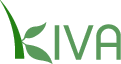 Featured image of post Kiva Update