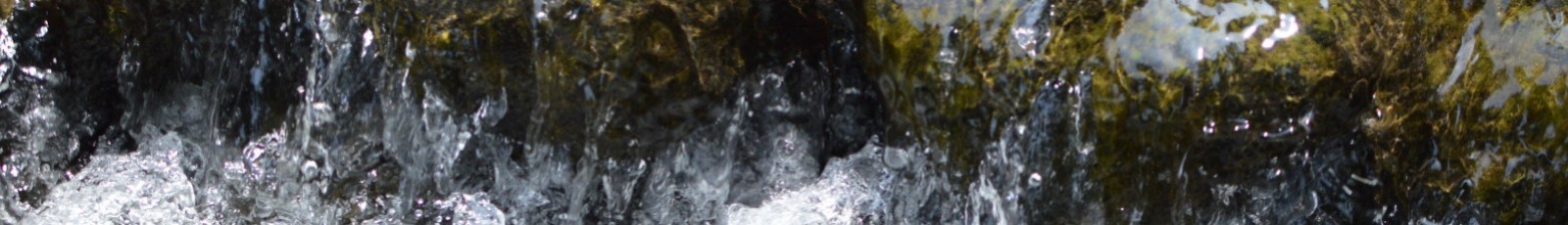 Featured image of post New Header Image: Water