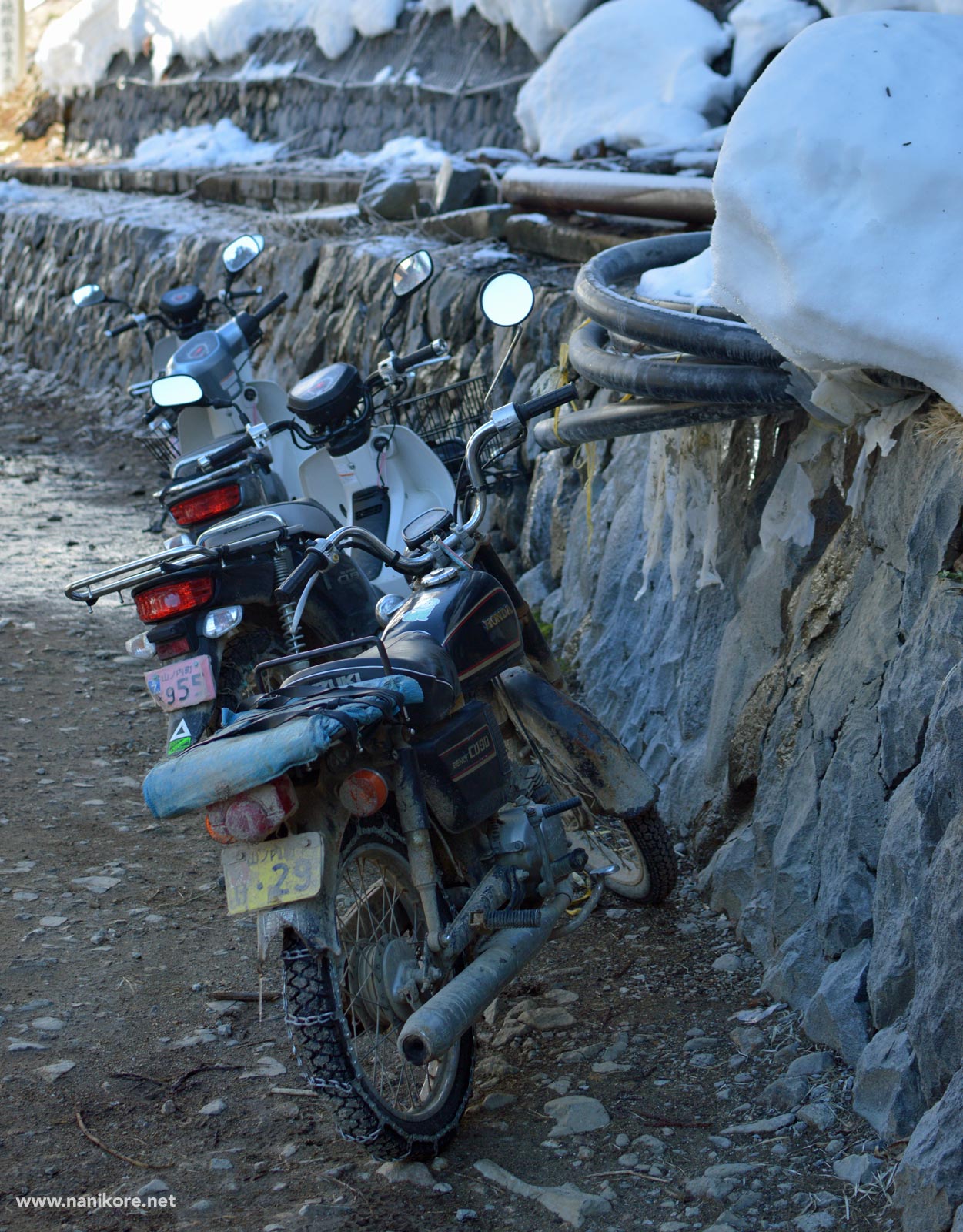 Featured image of post The Working Monkeys (and Motorbikes) of Nagano